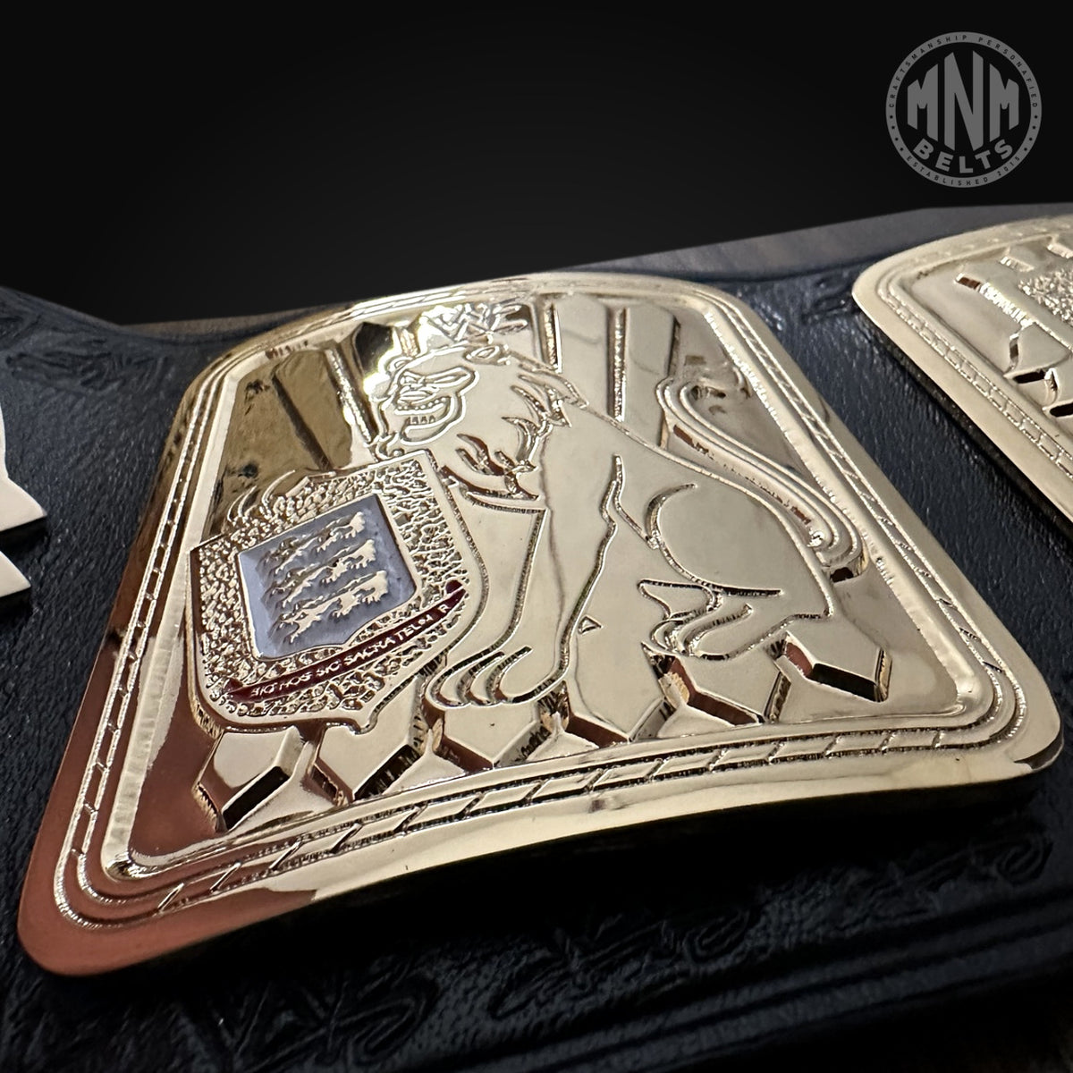 WWF Big Eagle Championship Replica Title Belt