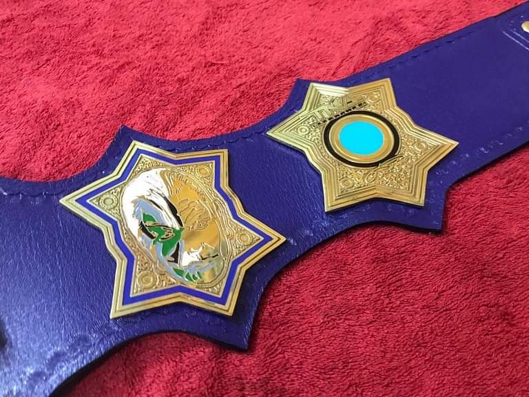 Jeff Hardy TNA World Heavyweight Championship Title Belt Replica