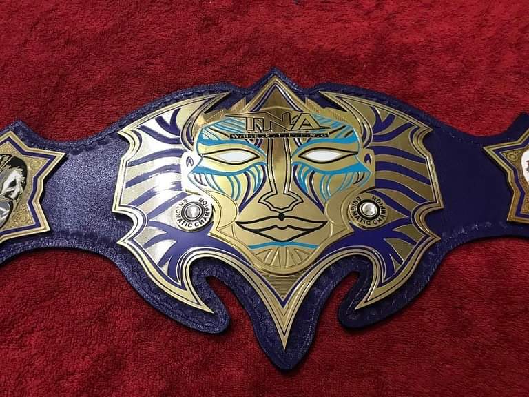 Jeff Hardy TNA World Heavyweight Championship Title Belt Replica