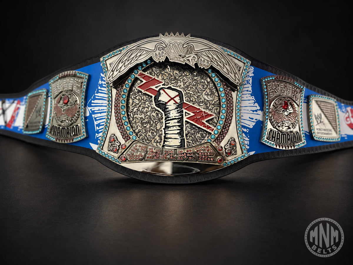 Ceinture de championnat Signature Series de CM Punk, record de 434 jours