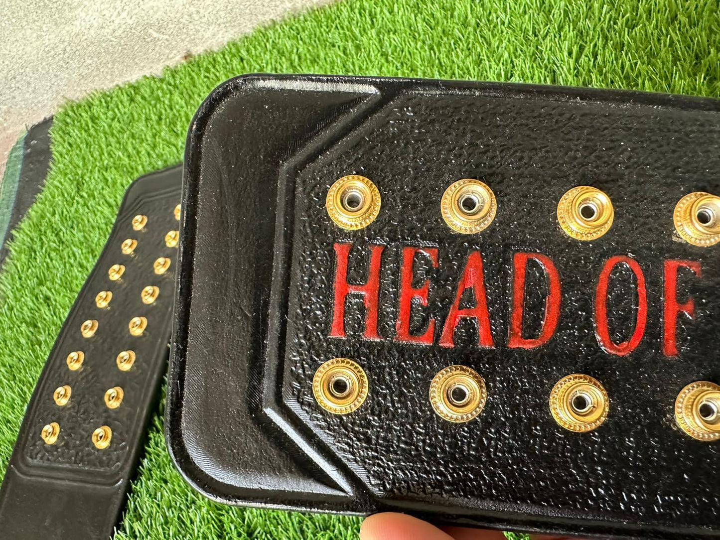 WWE World Championship Belt Title Replica