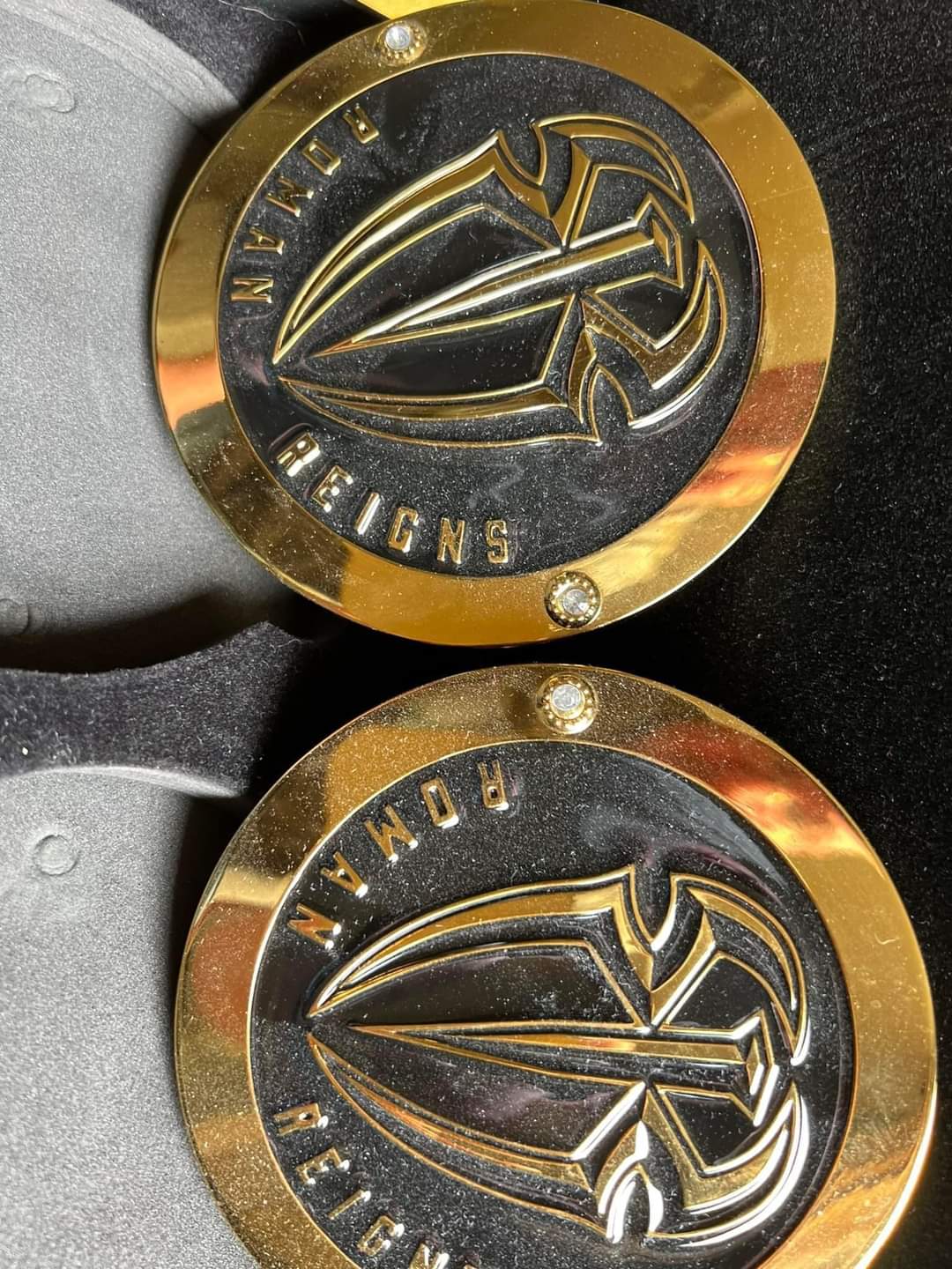 WWE Side Plates Circles for Undisputed Title