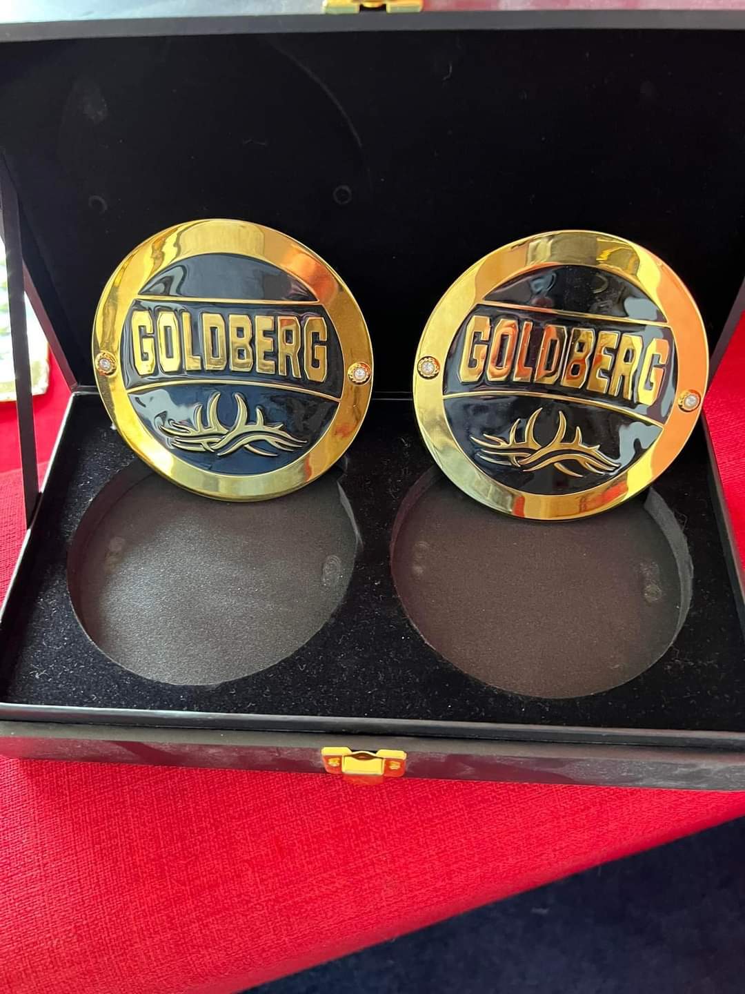 WWE Side Plates Circles for Undisputed Title