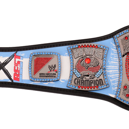 CM Punk 434-Day Record Signature Series Championship Title Belt