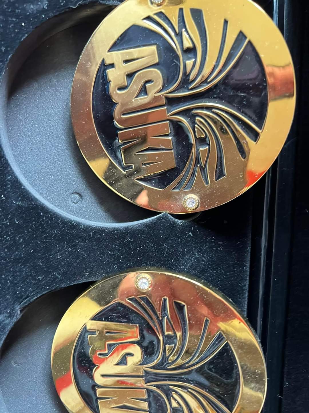WWE Side Plates Circles for Undisputed Title