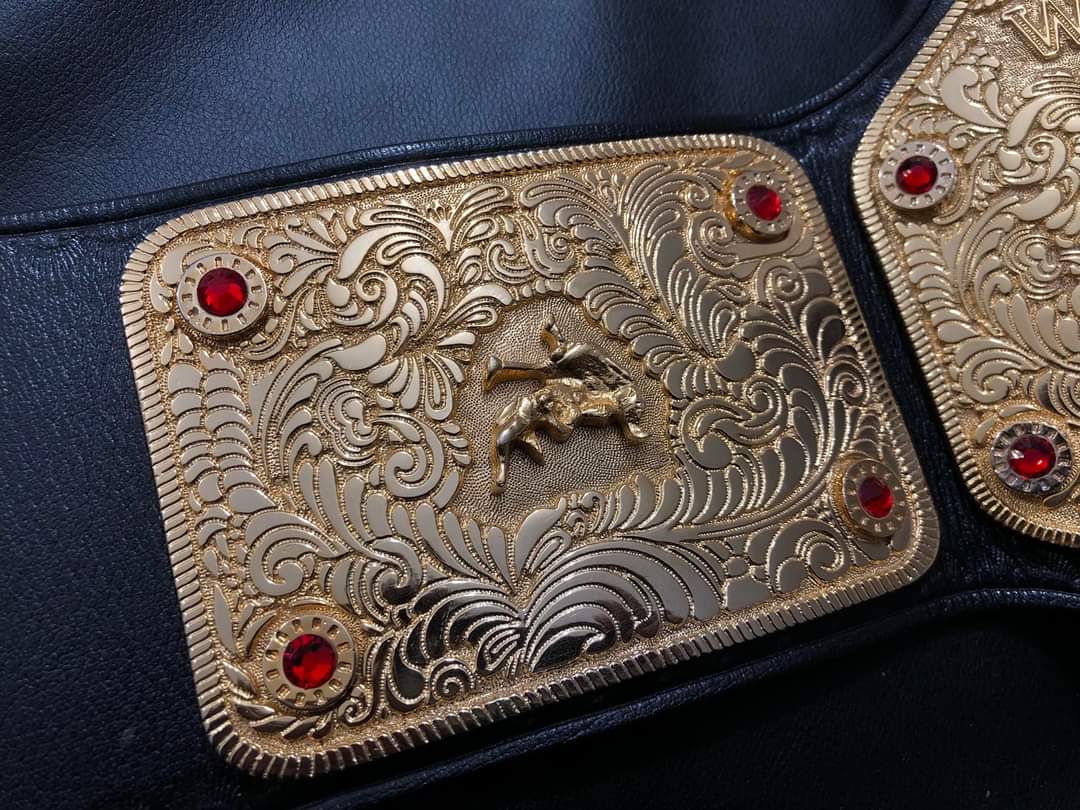 WWE Big Gold Championship Replica Title Belt