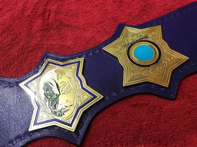 Jeff Hardy TNA World Heavyweight Championship Title Belt Replica