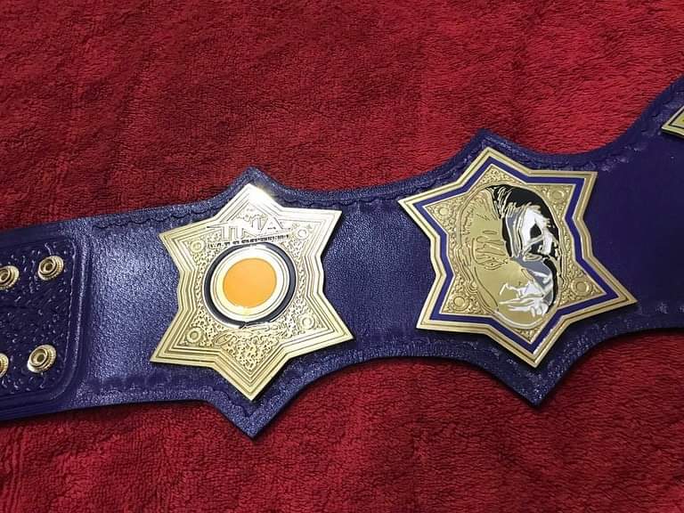 Jeff Hardy TNA World Heavyweight Championship Title Belt Replica