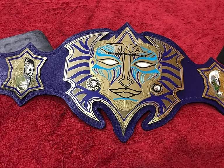 Jeff Hardy TNA World Heavyweight Championship Title Belt Replica