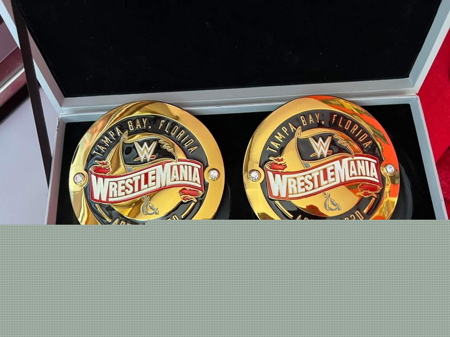 WWE Side Plates Circles for Undisputed Title