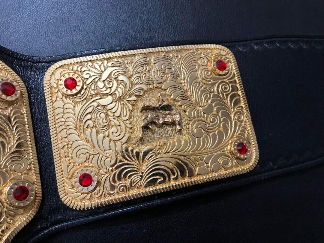 WWE Big Gold Championship Replica Title Belt