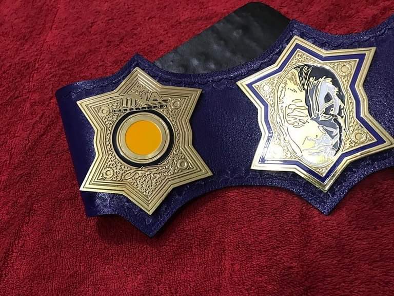 Jeff Hardy TNA World Heavyweight Championship Title Belt Replica