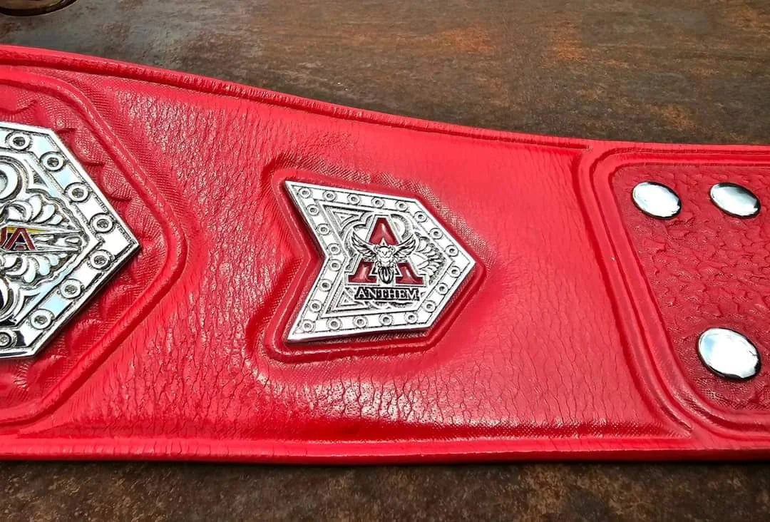 New TNA World Tag Team Championship Belt – Own the Gold!